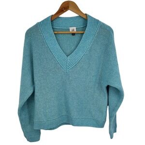 Cabi V-Neck Pullover Sweater Blue Chunky Knit Long Sleeve XS